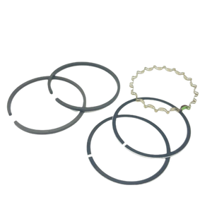 SCHULZ REPLACEMENT PART - RING KIT 2.1/5 INCH 830.0983-0 - MSL10MAX MSL15 MAX